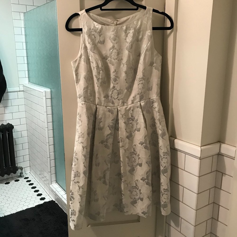 White and Silver Dress